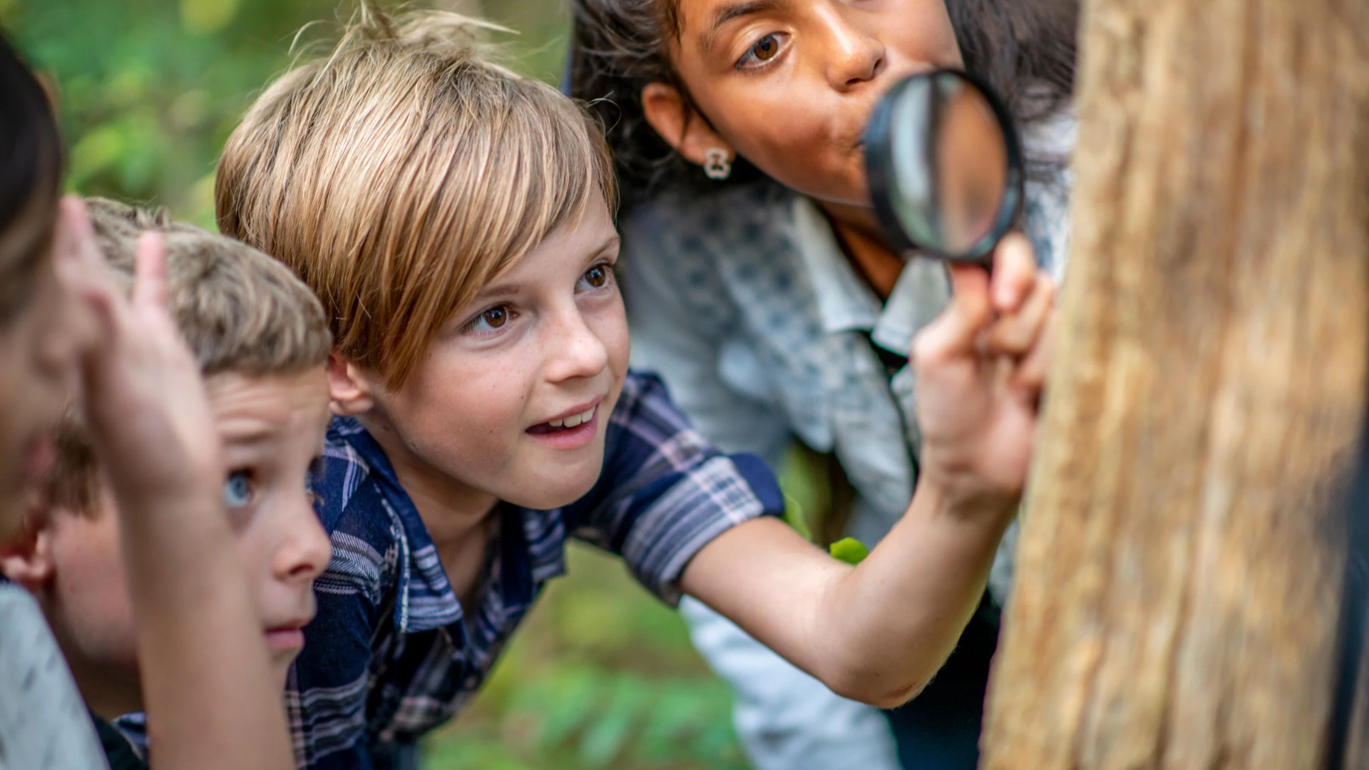 School group exploring woodland at Bailwood
