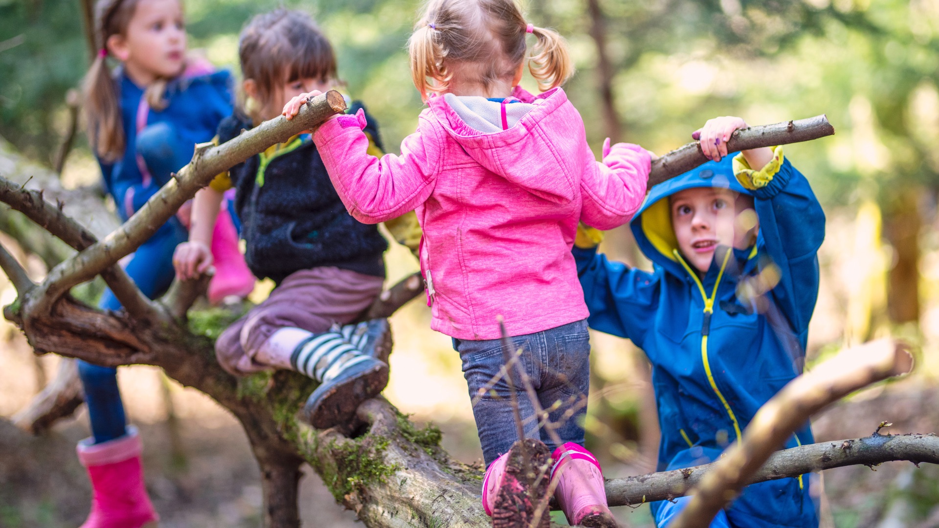 School group exploring woodland at Bailwood